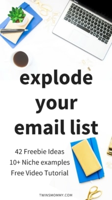 42 Freebie Opt-In Ideas to Explode Your Email List as a New Blogger + FREE Video Tutorial