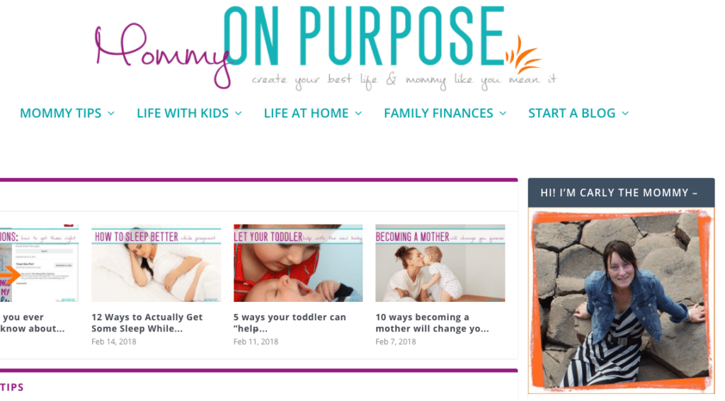 8 Popular Blog Niches That Drive Traffic and Make Money (That Aren't ...