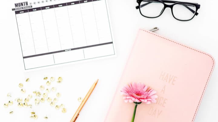 A 6 Figure Blogging Schedule: Daily and Weekly Plan to Make Money